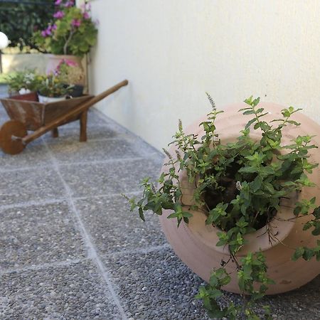 Coral Hotel Plomari Dış mekan fotoğraf