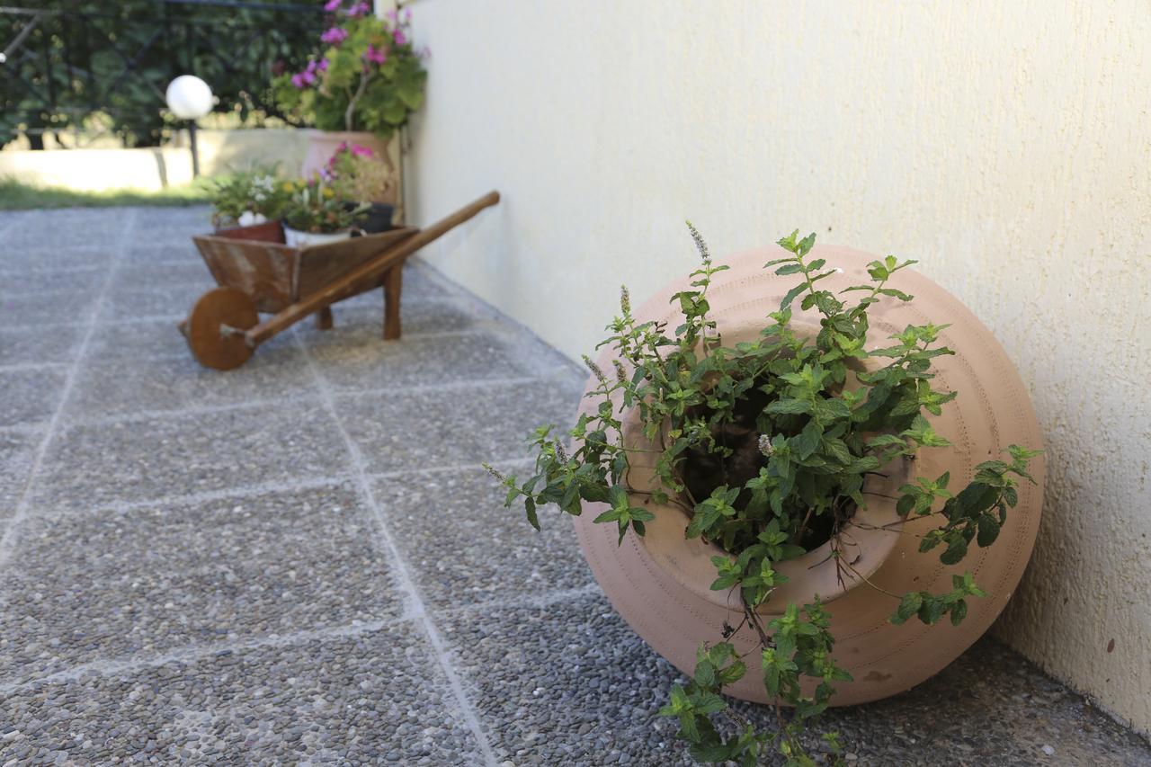 Coral Hotel Plomari Dış mekan fotoğraf